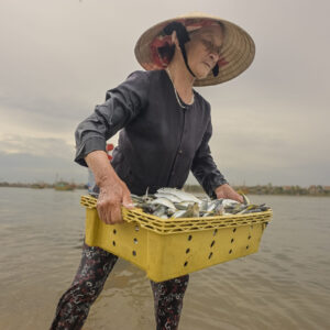 Traditional fishing from Vietnam